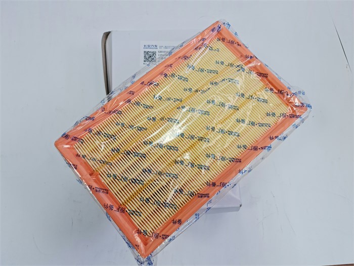 Воздушный фильтр ДВС Changan CS55Plus UNI-S S2010160402