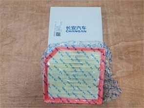 {{photo.Alt || photo.Description || 'Фильтр воздушный ДВС Changan UNI-V,Lamore'}}